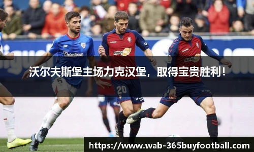365买球