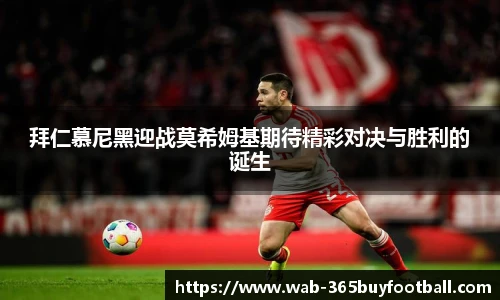 365买球网站