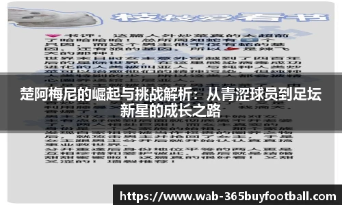 365买球网站